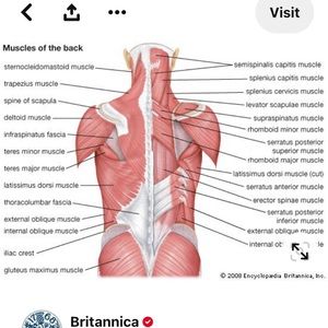 Meet your Posher, Shonda